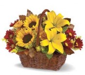 Sunshine Basket